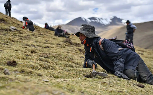 精選進(jìn)口原料